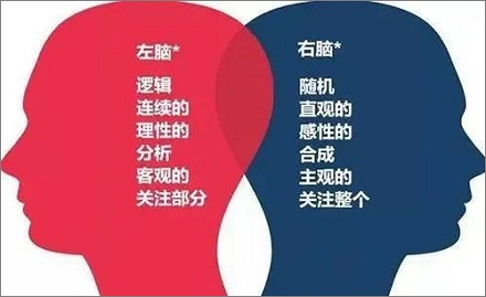 少了一半大脑会发生什么后果?