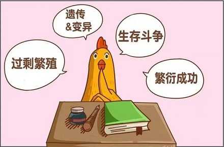 为什么动物会有固定的发情期?