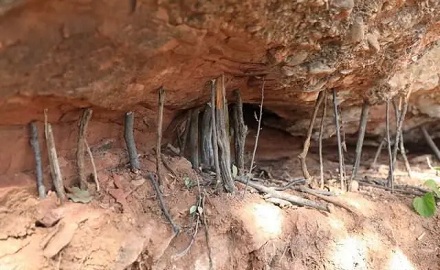 为啥景区里的大石头下,都立着好多小木棍?