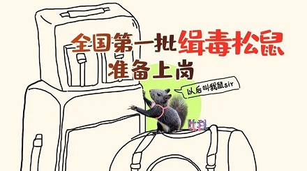 你听说过「缉毒松鼠」吗?
