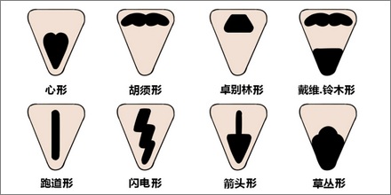 人的头发可以移植到阴毛?