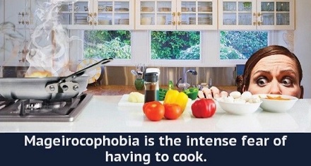 下厨恐惧症 (mageirocophobia) 是什病?