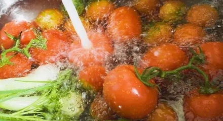 为什么不能用盐水洗瓜果蔬菜?