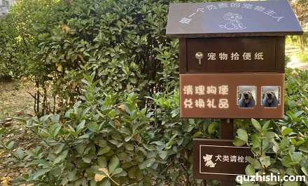 为什么一定要捡狗屎?