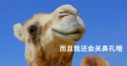 动物界为啥只有人类的鼻毛那么明显?