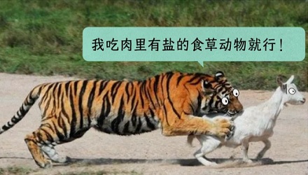 为什么人类要吃盐，动物却不用？