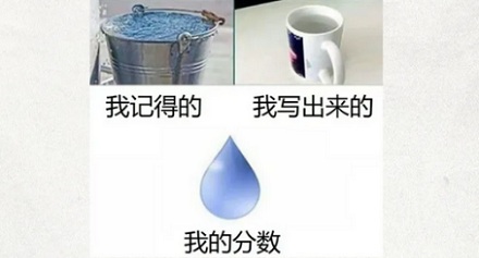为啥从小到大的考试,都是先考语文?