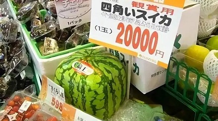 为什么国外人很少吃西瓜?