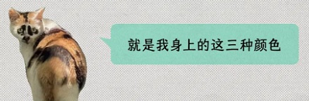 为什么人类没有绿色的毛发?