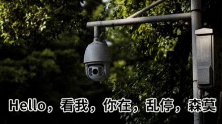 马路上的摄像头形状五花八门,功能有什么不一样?
