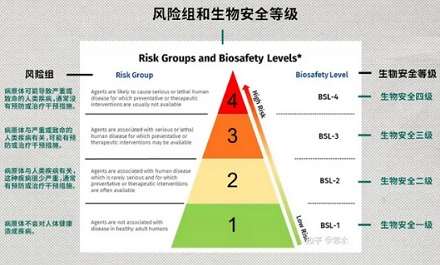 做实验用的动物做完实验之后能吃吗?