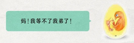 双黄蛋能孵出双胞鸡吗?