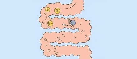 喝酸奶有助于消化?