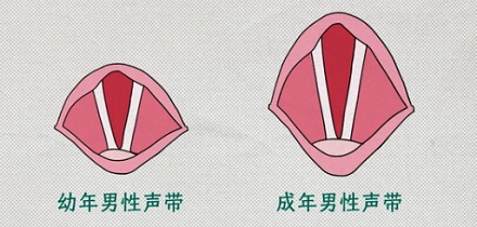 古时候太监说话的声音真的是夹子音吗?