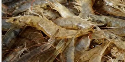 新疆没有海，为啥盛产海鲜？(简)