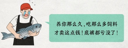 为什么烤鱼大都是2.8斤一条?