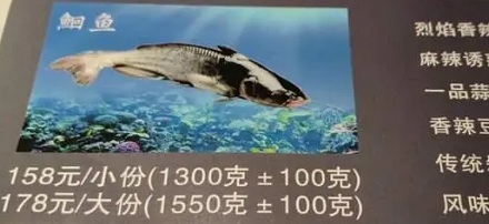 为什么烤鱼大都是2.8斤一条?
