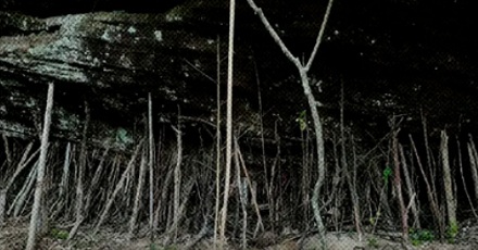 为什么景区的大石头下，都立着好多小木棍？(图)