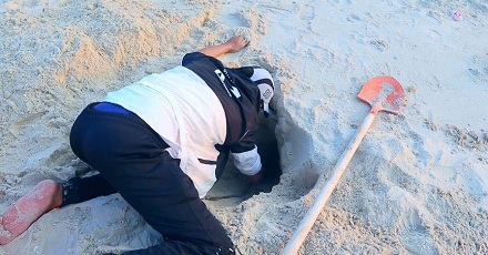 为什么千万不能在沙滩上挖洞?