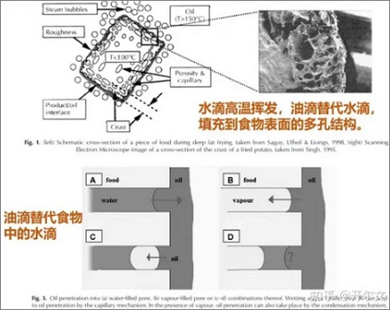 为什么食物在水中煮会变软,而在油中则会变脆?