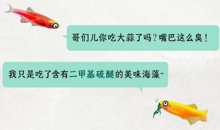 为啥水生动物都有腥臭味?(详)