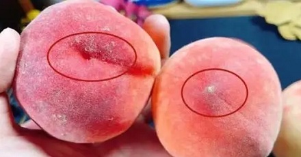 为什么有人会对桃子过敏?