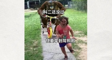 特斯拉无人驾驶没方向盘,那我驾照是不白考了?