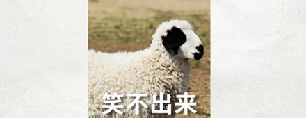 为啥新疆的羊,屁屁又翘又 duang?