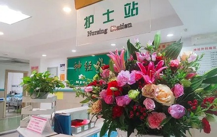 为什么医院不建议你送花给病人?