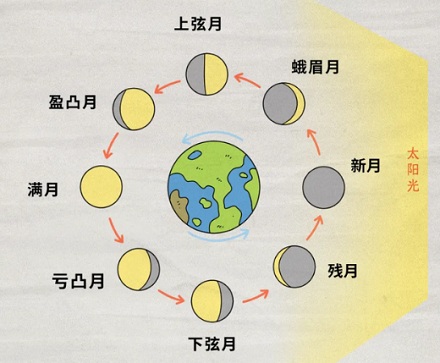 为什么说十五的月亮十六圆?