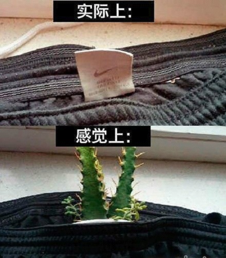 为什么衣服上的缝标基本都在左下侧?