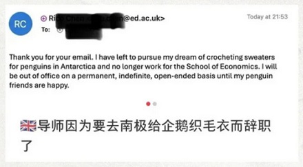 公益组织为什么要去给企鹅织毛衣?