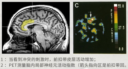 为什么看到有颜色的字,会先愣一下?
