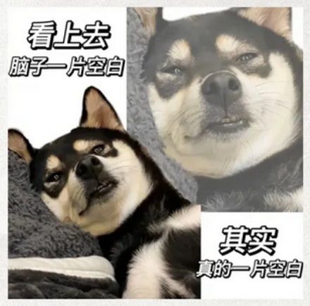 为什么看到有颜色的字,会先愣一下?