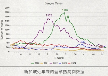 为什么新加坡禁止家里出现蚊子,否则罚钱?