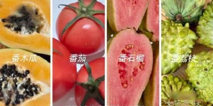 为什么福建有那么多水果蔬菜都姓「番」?