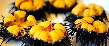 为什么很多好吃的贵东西都是生殖器官？