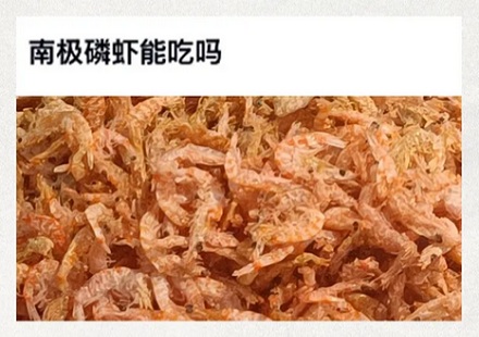 为啥北极甜虾这么抢手,量大管饱的南极磷虾却没人吃?(详)