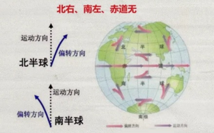 操场跑步为何总逆时针?顺时针跑真的「反人类」吗?