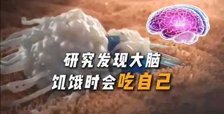 为什么跑马拉松后大脑反应慢?