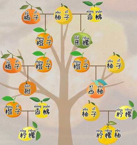 常吃柑橘类水果，能降低抑郁风险？