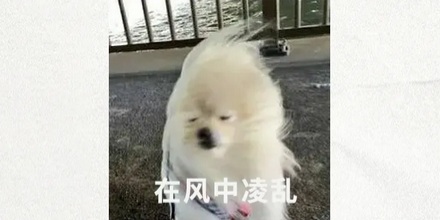 如果抱着机关枪跳楼,持续向下开枪能避免摔死吗?