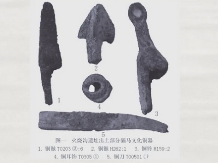为什么景区的马都需要被阉割？