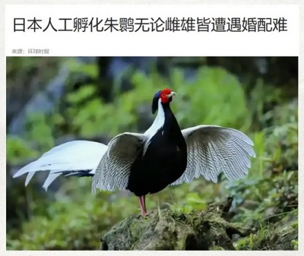 为啥人类不能近亲繁殖,动物却没有这种限制?