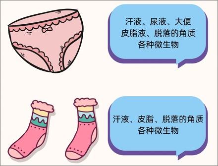 内裤 vs. 袜子:哪一个更「脏」?能一起洗吗?
