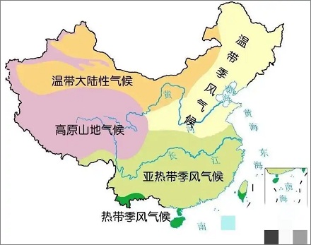 为什么人在广东会变得黄黄的?