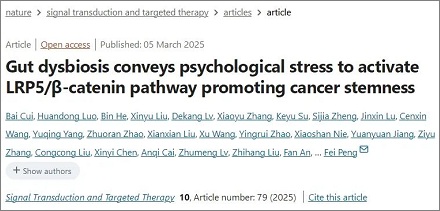 压力大会增加患癌症的风险?