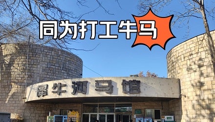在养殖业中,为什么总说「铁打的牛,纸糊的马」?