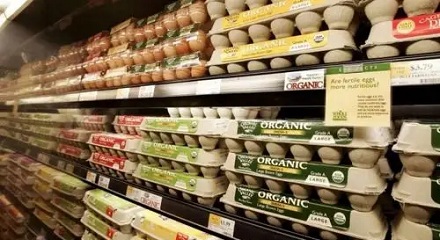美国 vs. 英国:为什么两国的鸡蛋「相互禁售」?