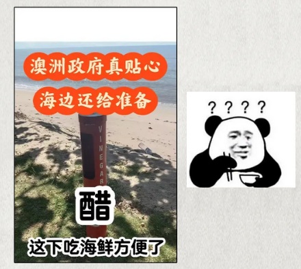 为什么澳大利亚的海滩上要放一瓶蓝色的醋?